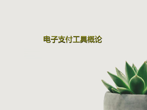 电子支付工具概论93页PPT