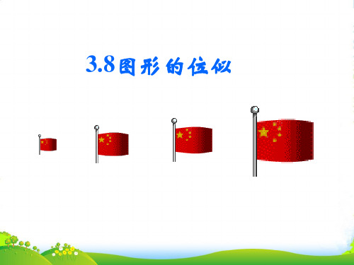 北师大九年级数学上册《图形的位似(2)》课件