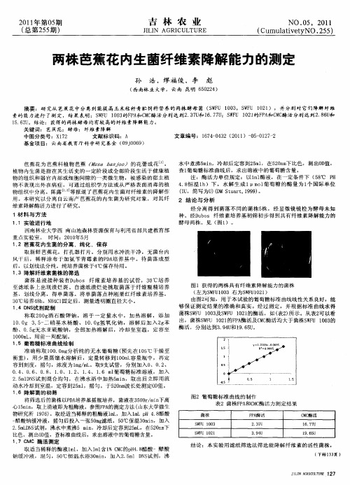 两株芭蕉花内生菌纤维素降解能力的测定