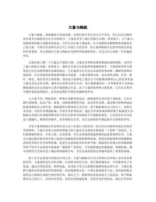 大象与蚂蚁