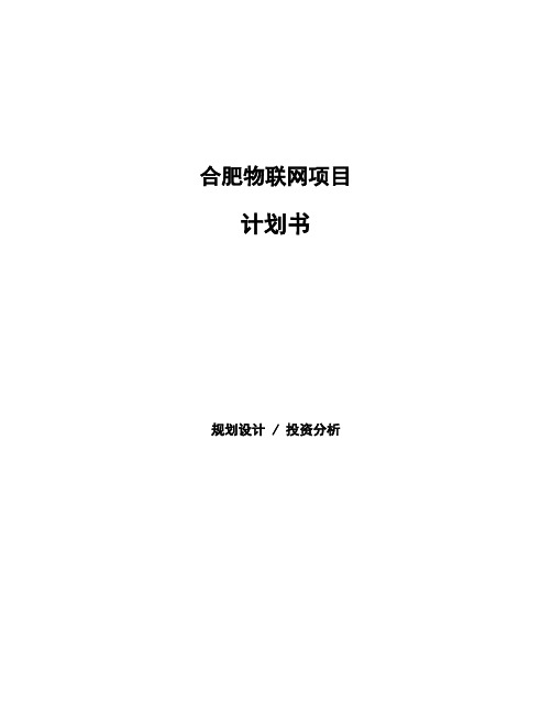 合肥物联网项目计划书