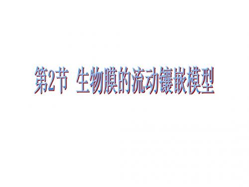 第二节  生物膜的流动镶嵌模型