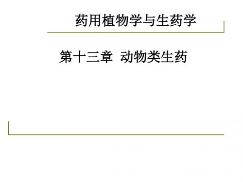 药用植物学与生药学_30-31动物类生药_1002