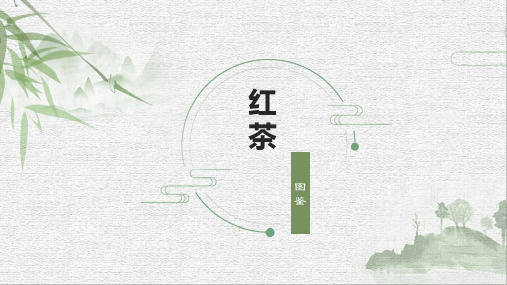 《中国名茶图典》——红茶图鉴