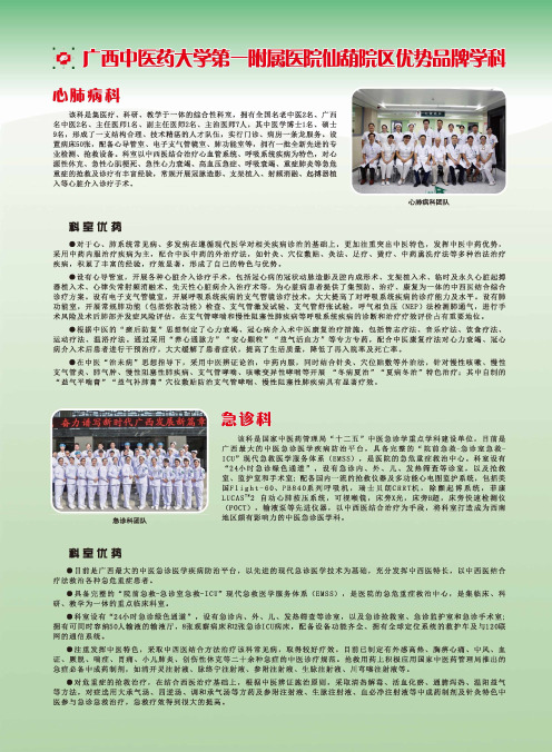 广西中医药大学第一附属医院仙葫院区优势品牌学科