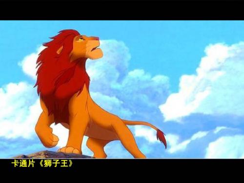 生命与自然的和谐交融