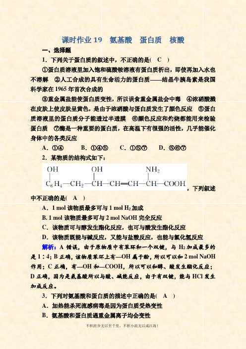 2020-2021学年化学苏教版选修5课时作业：5-2 氨基酸 蛋白质 核酸 Word版含解析 