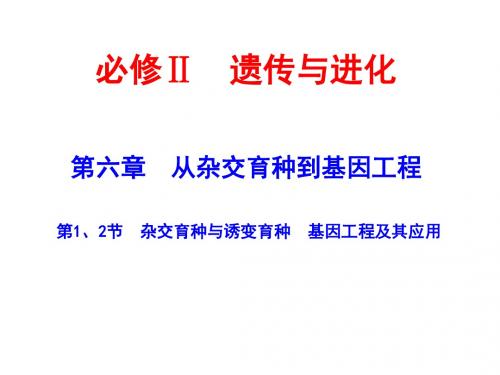 高三一轮复习杂交育种与诱变育种__基因工程及其应用
