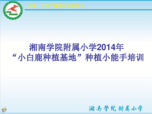 湘南学院附属小学种植小能手培训
