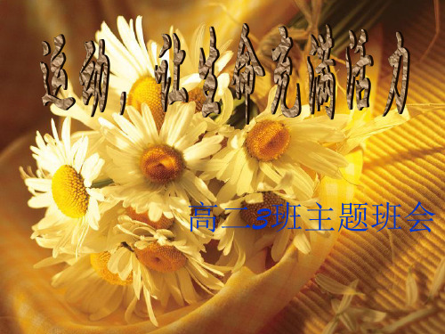 关于运动的主题班会ppt课件
