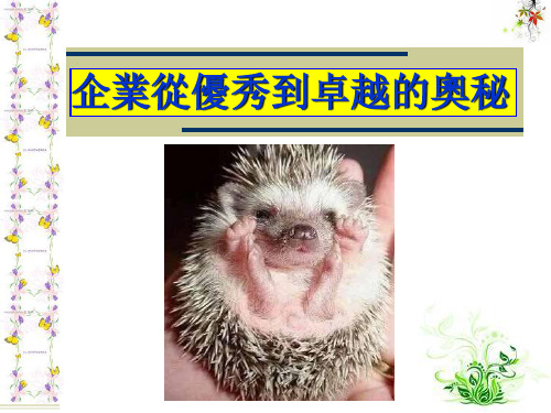 解读刺猬原则