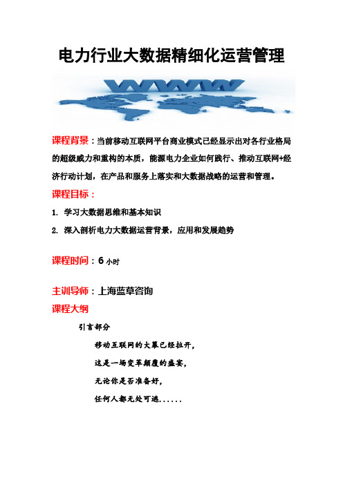 电力行业大数据精细化运营管理(大纲)