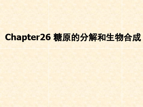 Chapter 26 糖原的分解和生物合成