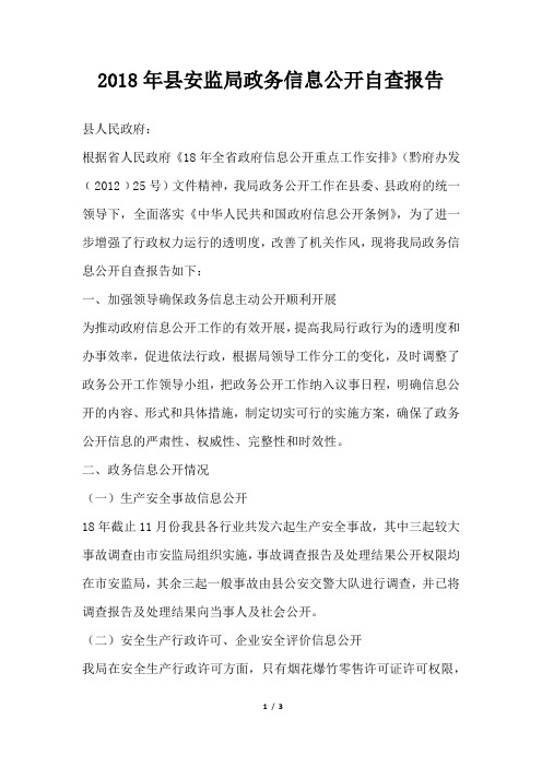 县安监局政务信息公开自查报告