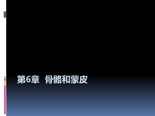 三维动画设计第6章  骨骼和蒙皮