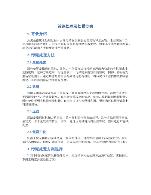 污泥处理及处置方案