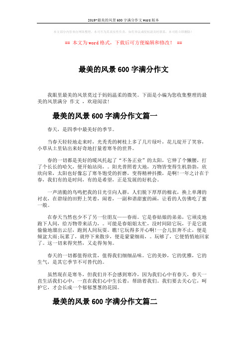 2019-最美的风景600字满分作文word版本 (3页)