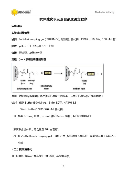 抗体纯化以及蛋白浓度测定程序