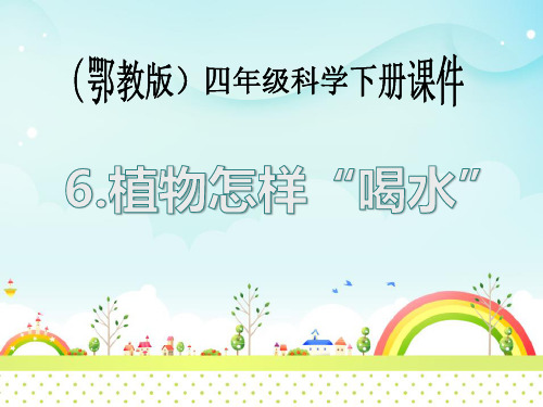 《植物怎样“喝水”》PPT课件