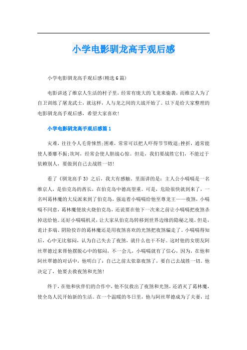 小学电影驯龙高手观后感