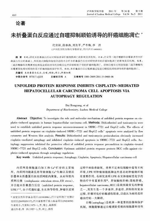 未折叠蛋白反应通过自噬抑制顺铂诱导的肝癌细胞凋亡