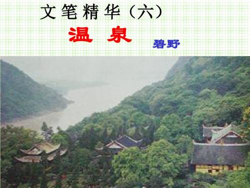 文笔精华