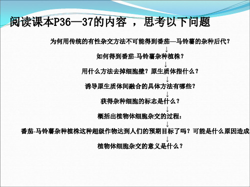植物体细胞杂交技术为什么番茄马铃薯