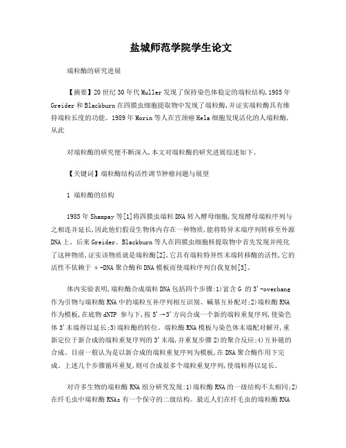 端粒酶的研究进展