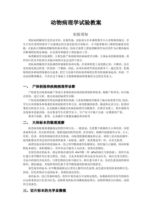 动物病理学试验教案彩图详细版