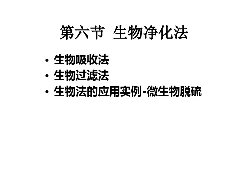 11气态污染物的治理-生物法