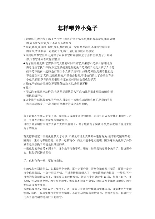怎样喂养小兔子