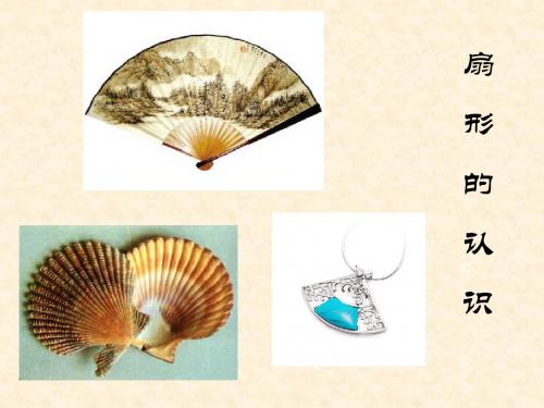 扇形的认识
