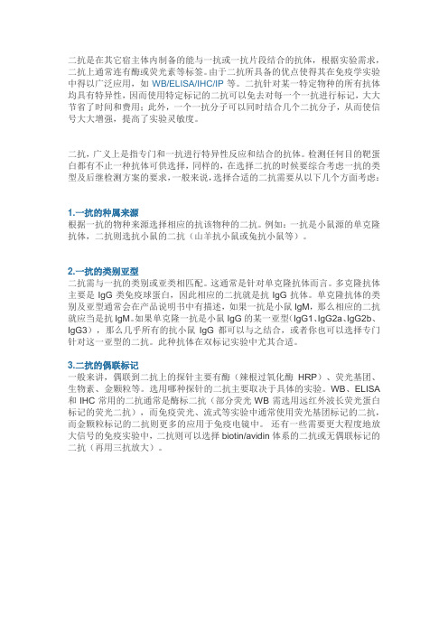 二抗的选择