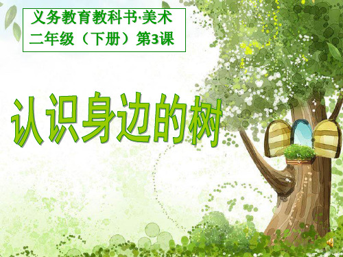 人美版二年级美术第03课  认识身边的树课件PPT