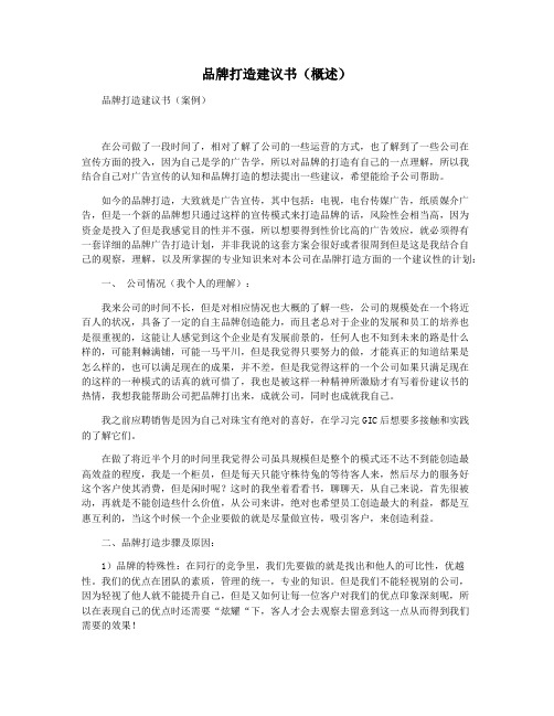 品牌打造建议书(概述)