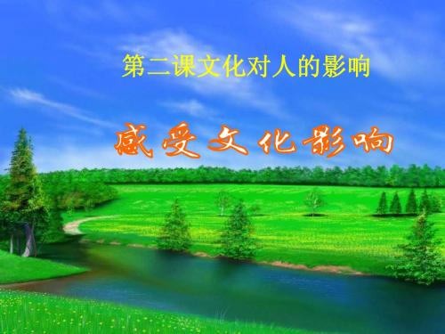政治：1.2.1《感受文化的影响》课件(新人教必修3)