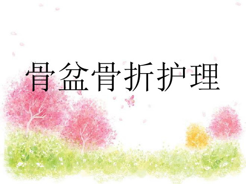 骨盆骨折护理PPT课件