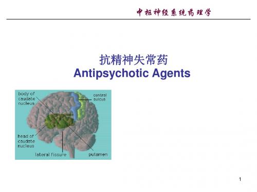 (精品)抗精神失常药PPT演示课件