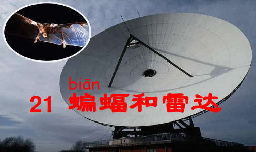 新课标人教版小学四年级语文下册11[1].蝙蝠和雷达精品ppt课件