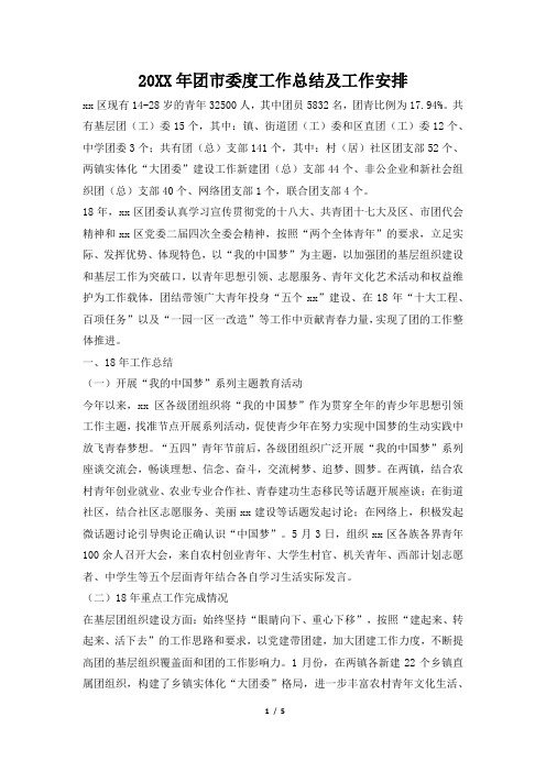 2019年团市委度工作总结及工作安排
