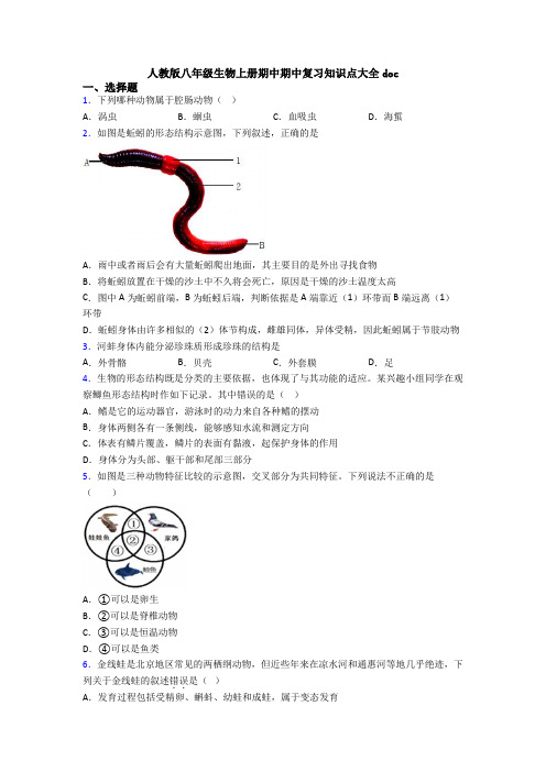 人教版八年级生物上册期中期中复习知识点大全doc