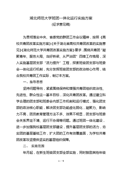 湖北师范大学班团一体化运行实施方案