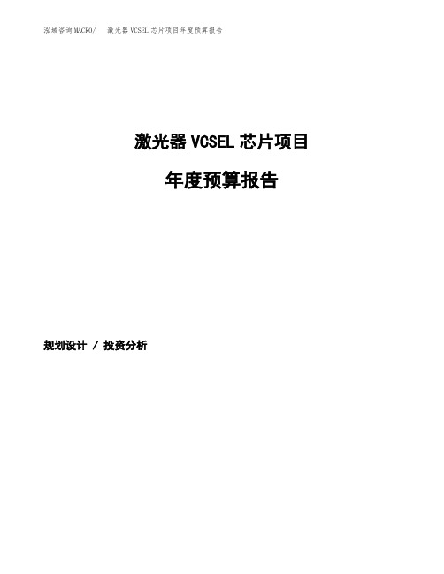 激光器VCSEL芯片项目年度预算报告