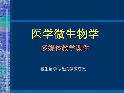 微生物学检验(第3版)支原体原核细胞型微生物-本