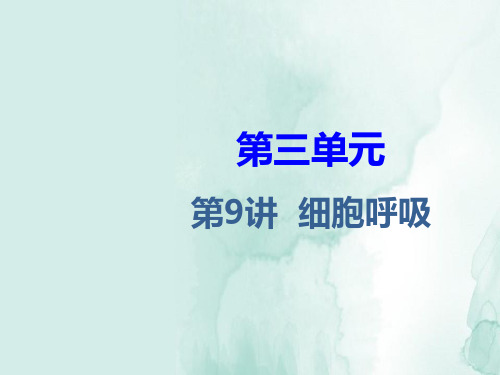 高三生物一轮复习精品课件2：第9讲 细胞呼吸