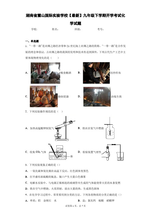 湖南省麓山国际实验学校2021届九年级下学期开学考试化学试题