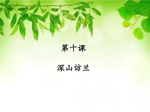 《深山访兰》课件