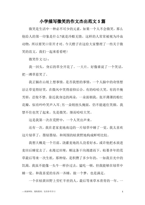 小学描写微笑的作文杰出范文5篇