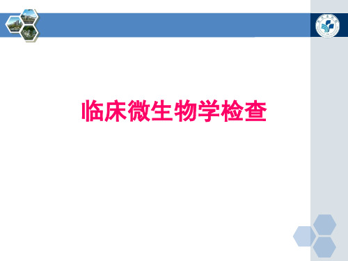 临床微生物学检查