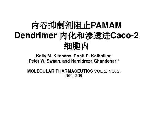 内吞抑制剂阻止PAMAM Dendrimer 内化和渗透进Caco-2细胞内
